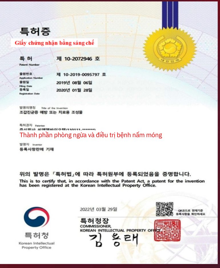 Bằng sáng chế Hàn Quốc số 10-2072946