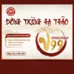 Viên uống Đông trùng hạ thảo – Linh chi – Tỏi đen – Nhung hươu