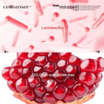 Sữa rửa mặt Celleanser Pomegranate Ferment Relaxing Cleanser-hàn quốc