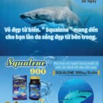 Thực phẩm làm sạch mỡ Squalene 900-nhật bản