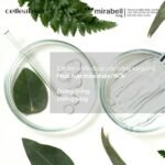 Nước hoa hồng cân bằng da Celleanser Retinolift Toner-hàn quốc