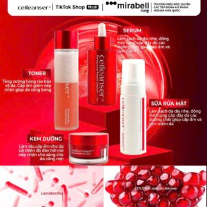 Combo Lựu đỏ rạng rỡ