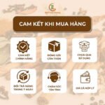 Gối Ngọc Thảo Dược Đa Năng