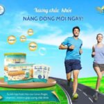 Sữa hạt dinh dưỡng Sen Vàng Premium EIG6 Green+ Lon 400g